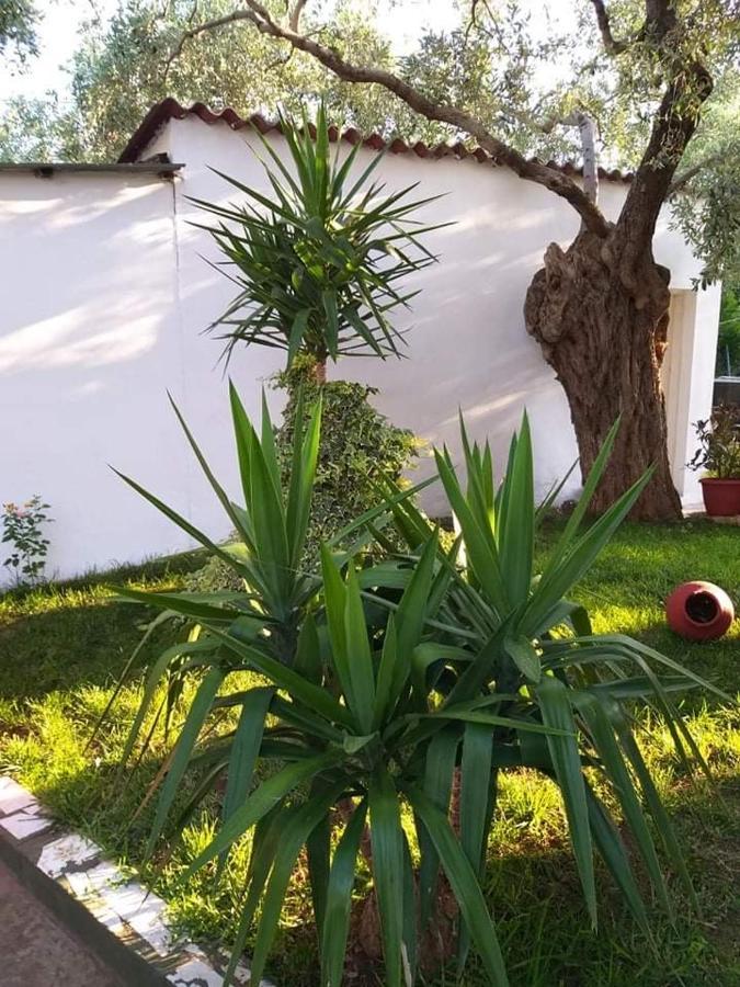 דירות Skála Kallirákhis Valia House Thassos מראה חיצוני תמונה