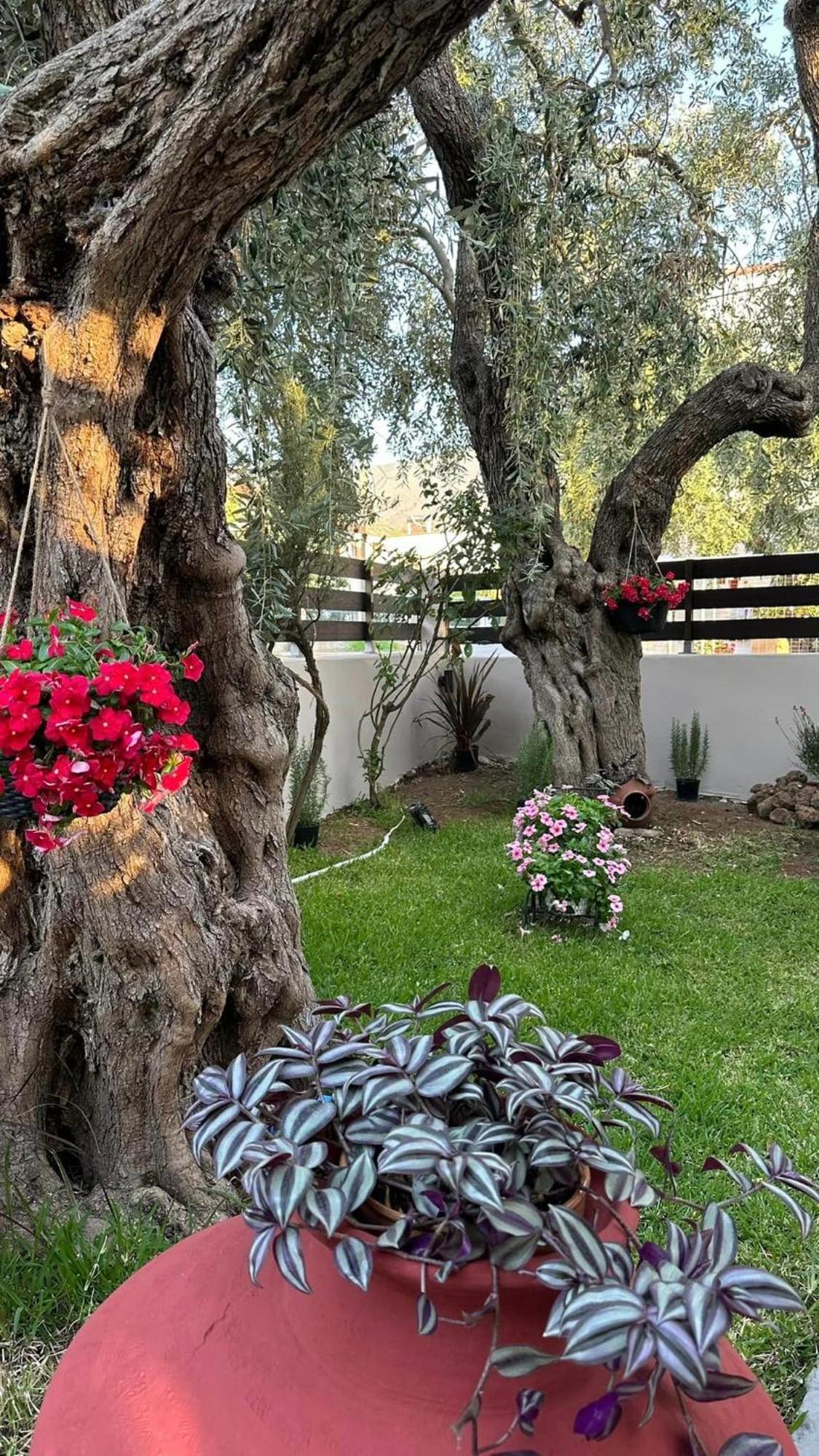דירות Skála Kallirákhis Valia House Thassos מראה חיצוני תמונה